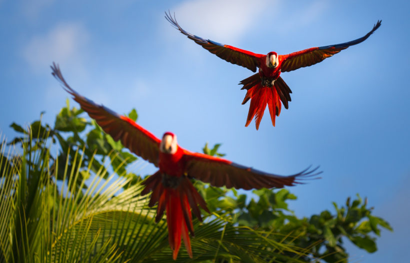 costa rica